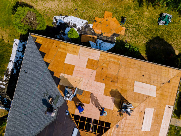 Best Roof Gutter Cleaning  in Alamo, CA